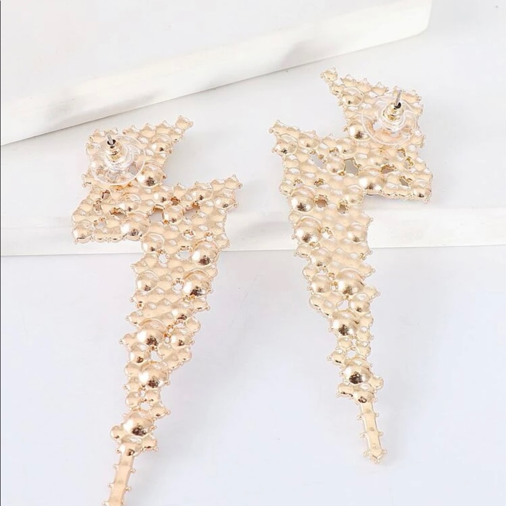EARRINGS NWOT - Picture 2 of 6